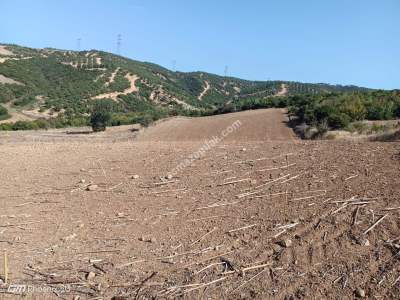 Tekirdağ Şarköy Yeniköy Mahallesi Satılık Tarla 4