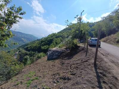 Trabzon Akçaabat Çınarlıkta Satılık 1578 M2 Tarla 7