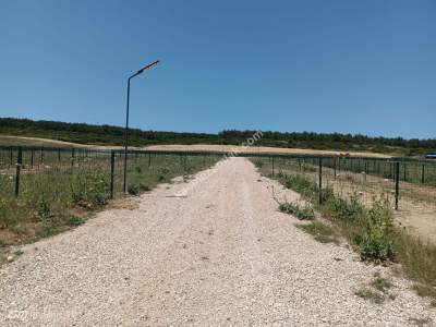 Tekirdağ Şarköy Şenköyde Satılık Tiny House Arsası 33