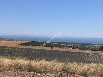 Geliboludemirtepe Köy Sahilinde 1/2 İmarlı Satılık Arsa 1