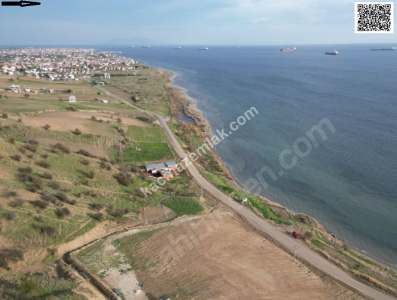 Tekirdağ Şarköy İstiklal Mahallesi Satılık Konut Arsası 7