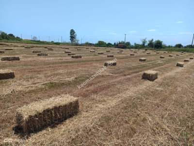 Tekirdağ Şarköy Kızılcaterzi Mah. Satılık Konut Arsası 6