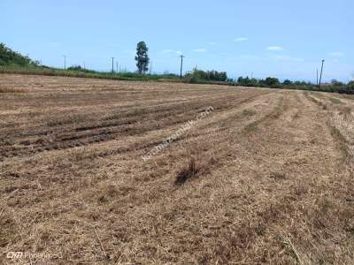 Tekirdağ Şarköy Kızılcaterzi Mah. Satılık Konut Arsası 7