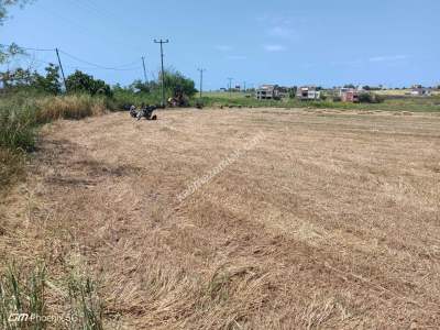 Tekirdağ Şarköy Kızılcaterzi Mah. Satılık Konut Arsası 11