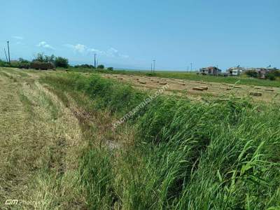 Tekirdağ Şarköy Kızılcaterzi Mah. Satılık Konut Arsası 3