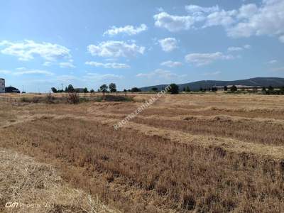 Tekirdağ Şarköy Kızılcaterzi Mahallesi Satılık Arsa 8