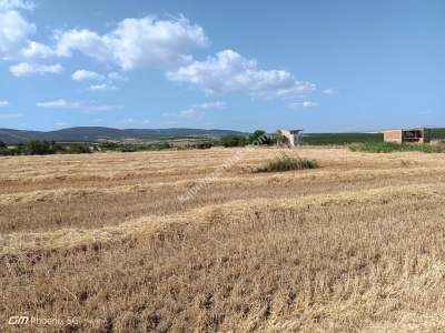 Tekirdağ Şarköy Kızılcaterzi Mahallesi Satılık Arsa 10