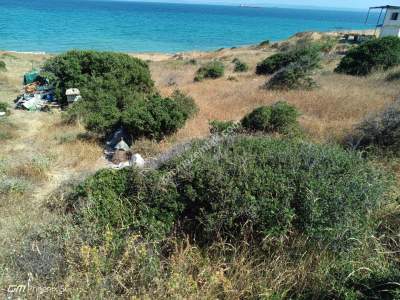 Tekirdağ Şarköy Kızılcaterzi Mah. Satılık Villa Arsası 9