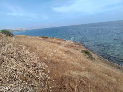 Tekirdağ Şarköy Kızılcaterzi Mah. Satılık Villa Arsası 9