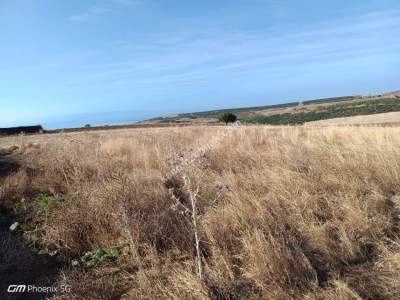 Tekirdağ Şarköy Kocaali Mahallesi Satılık Villa Arsası 3