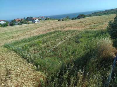 Tekirdağ Şarköy Mürefte Mahallesi Satılık Villa Arsası 1