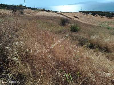 Tekirdağ Şarköy Mürefte Mahallesi Satılık Villa Arsası 6