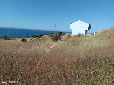 Tekirdağ Şarköy Mürefte Mahallesi Satılık Villa Arsası 2