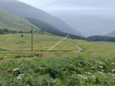 Trabzon Maçka Gürgenağaçta Satılık Arsalar 15