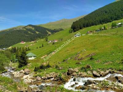 Trabzon Maçka Gürgenağaçta Satılık Arsalar 6