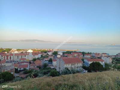 Tekirdağ Şarköy Hoşköy Mahallesi Satılık Zeytinlik 1