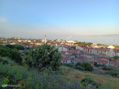 Tekirdağ Şarköy Hoşköy Mahallesi Satılık Zeytinlik 3