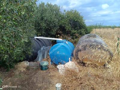 Tekirdağ Şarköy Kızılcaterzi Mah. Satılık Zeytinlik 10