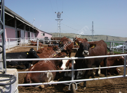 Konya Sarayönü Kurşunlu'da Satılık 82.500 M2 Çiftlik 14