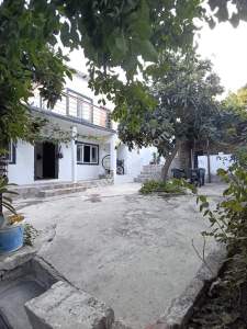 Aydın Koçarlı Halilbeyli Köy Bahçeli Köy Evi Satılık 37