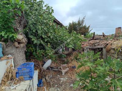 Tekirdağ Şarköy Güzelköy Mahallesi Satılık Köy Evi 13