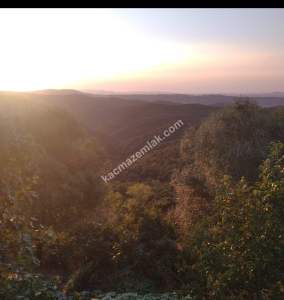 Çanakkale Biga Işıkeli Köyünde Bağ Evi 1