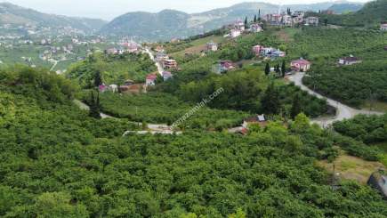 Trabzon Ortahisarda Sahilden 7Km Mesafede Satılık Villa 8